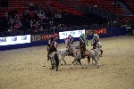 Quadrille - 00278